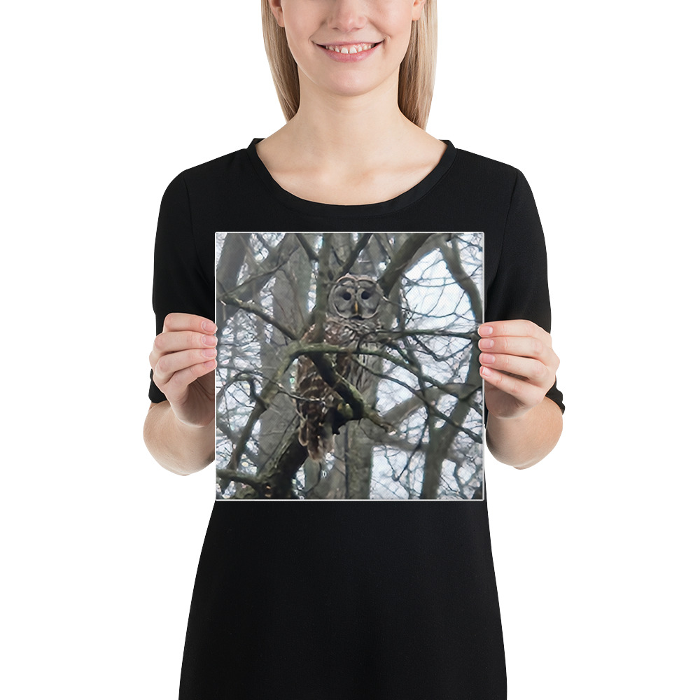 canvas in 10x10 front 6aab6cdb8f08a.jpg canvas in 10x10 front 6aab6cdb8f08a.jpg