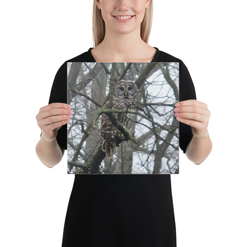canvas in 12x12 person 6aab6cdb8c4ad.jpg canvas in 12x12 person 6aab6cdb8c4ad.jpg