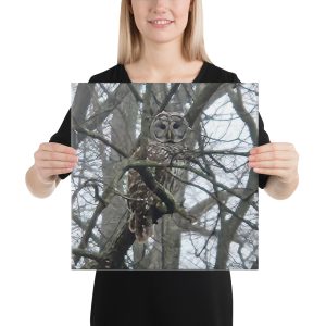 canvas in 16x16 person 6aab6cdb8d1ba.jpg