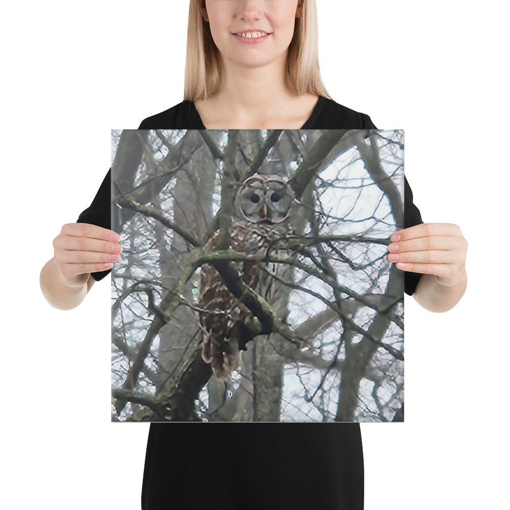 canvas in 16x16 person 6aab6cdb8d1ba.jpg canvas in 16x16 person 6aab6cdb8d1ba.jpg