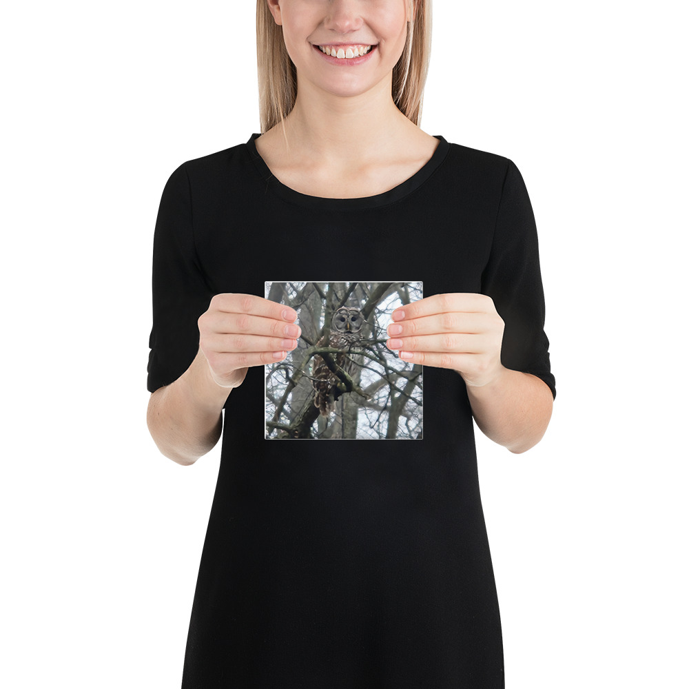 canvas in 6x6 front 6aab6cdb8ec87.jpg canvas in 6x6 front 6aab6cdb8ec87.jpg