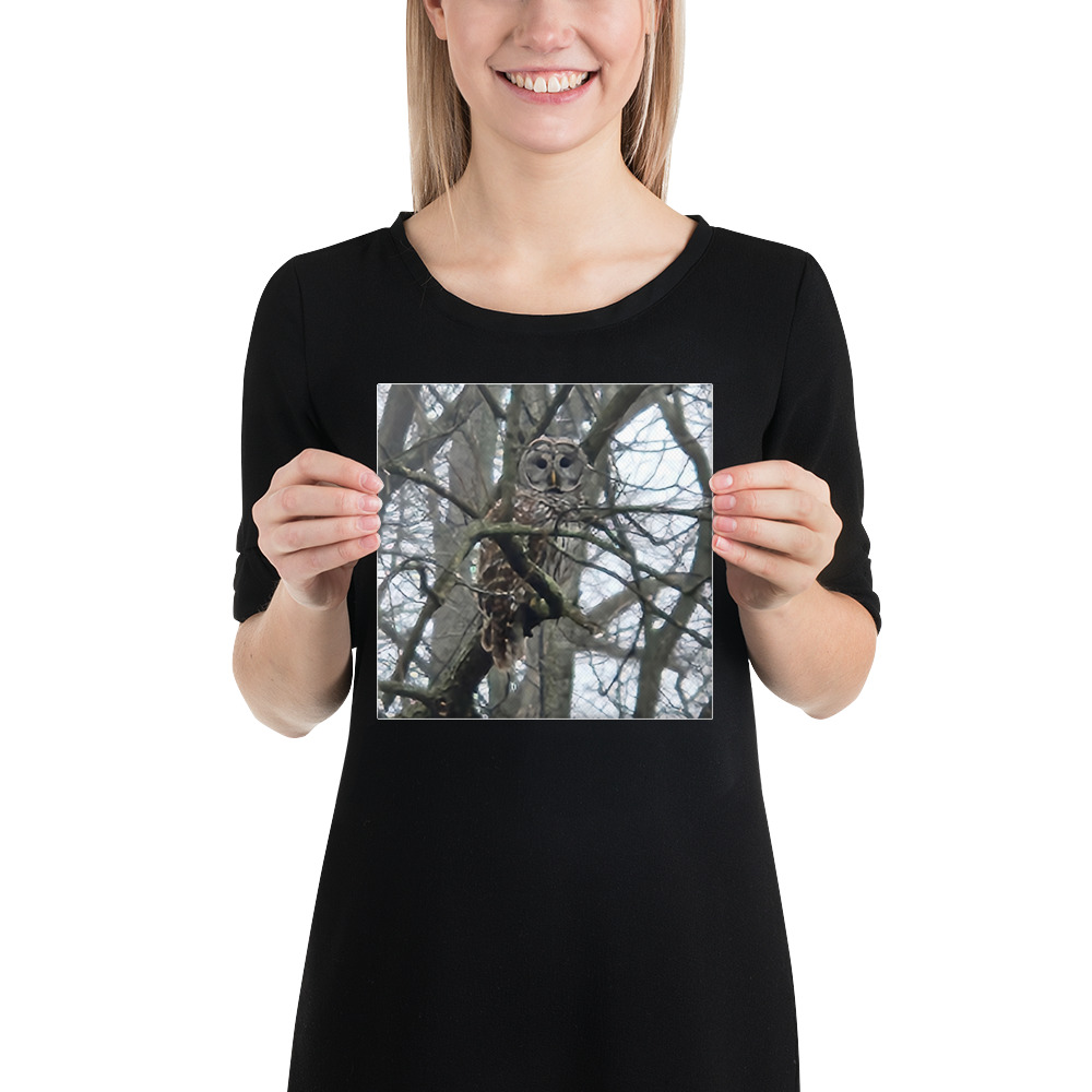 canvas in 8x8 front 6aab6cdb8e81c.jpg canvas in 8x8 front 6aab6cdb8e81c.jpg