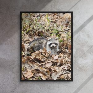 framed canvas in black 24x32 front 6aaff8d69d36a.jpg