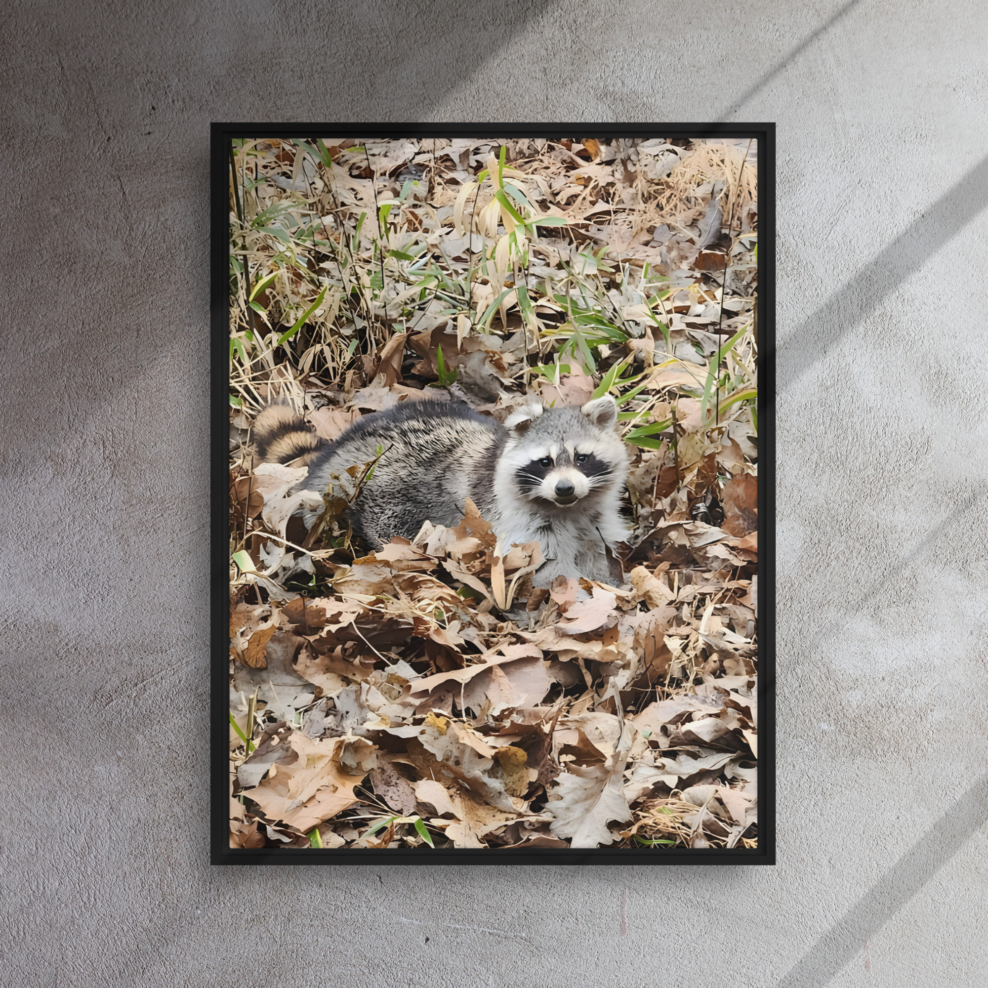 framed canvas in black 24x32 front 6aaff8d69d36a.jpg framed canvas in black 24x32 front 6aaff8d69d36a.jpg
