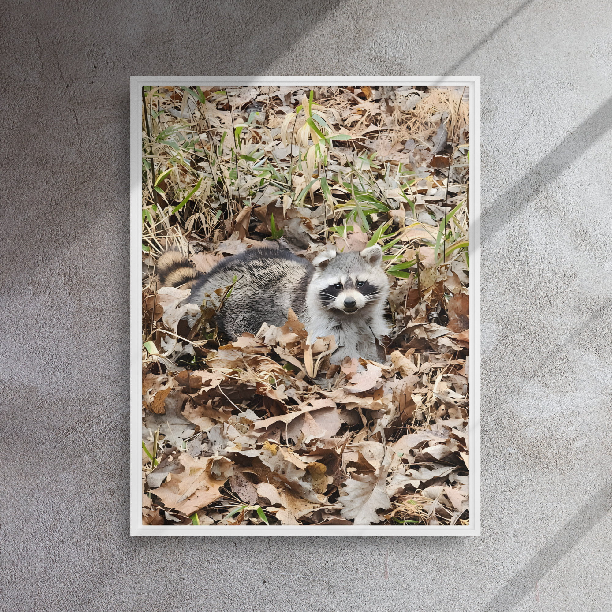 framed canvas in white 24x32 front 6aaff8d69dfb9.jpg framed canvas in white 24x32 front 6aaff8d69dfb9.jpg