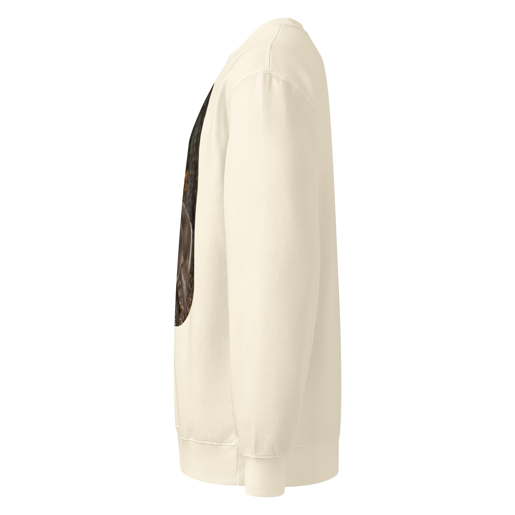 unisex premium crew neck sweatshirt sandshell left 6aa5f378a0ef2.png unisex premium crew neck sweatshirt sandshell left 6aa5f378a0ef2.png