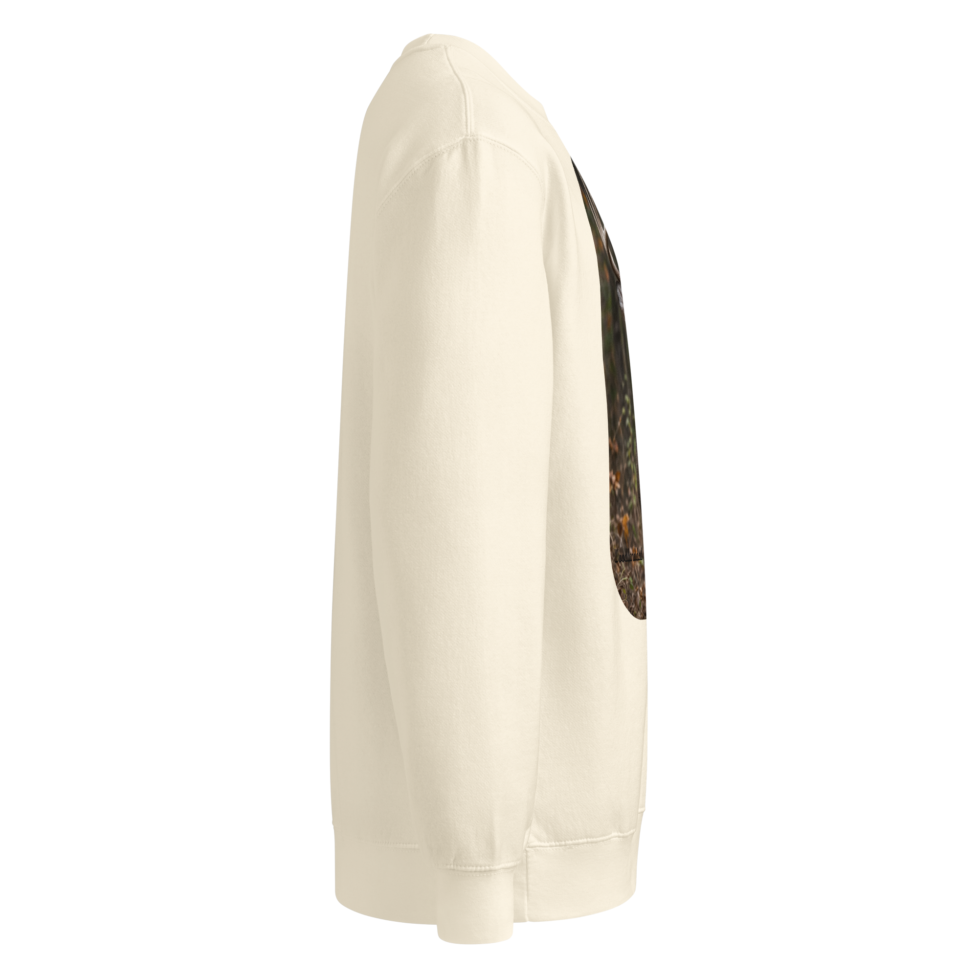 unisex premium crew neck sweatshirt sandshell right 6aa5f378a14eb.png unisex premium crew neck sweatshirt sandshell right 6aa5f378a14eb.png